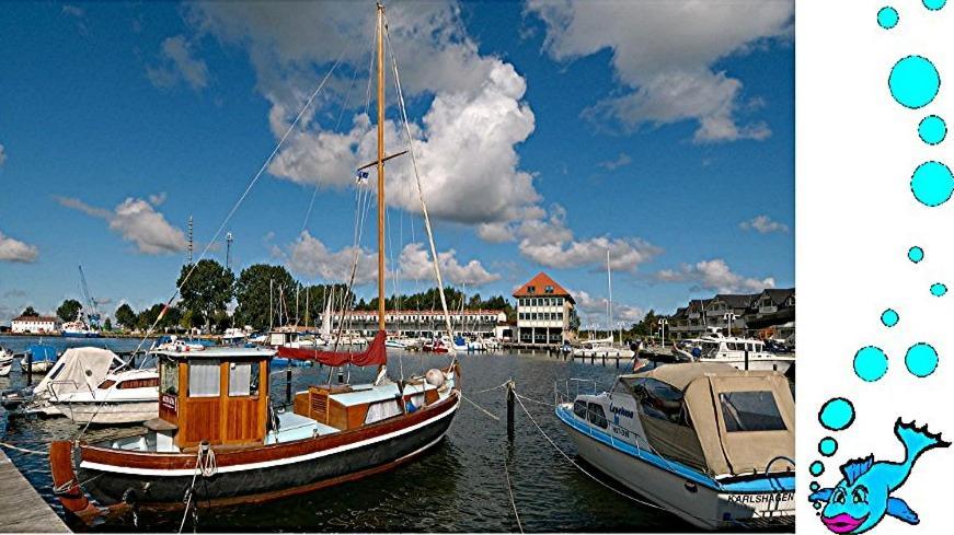 Ferienwohnung Mit Terrasse - Insel Usedom Трассенхайде Экстерьер фото