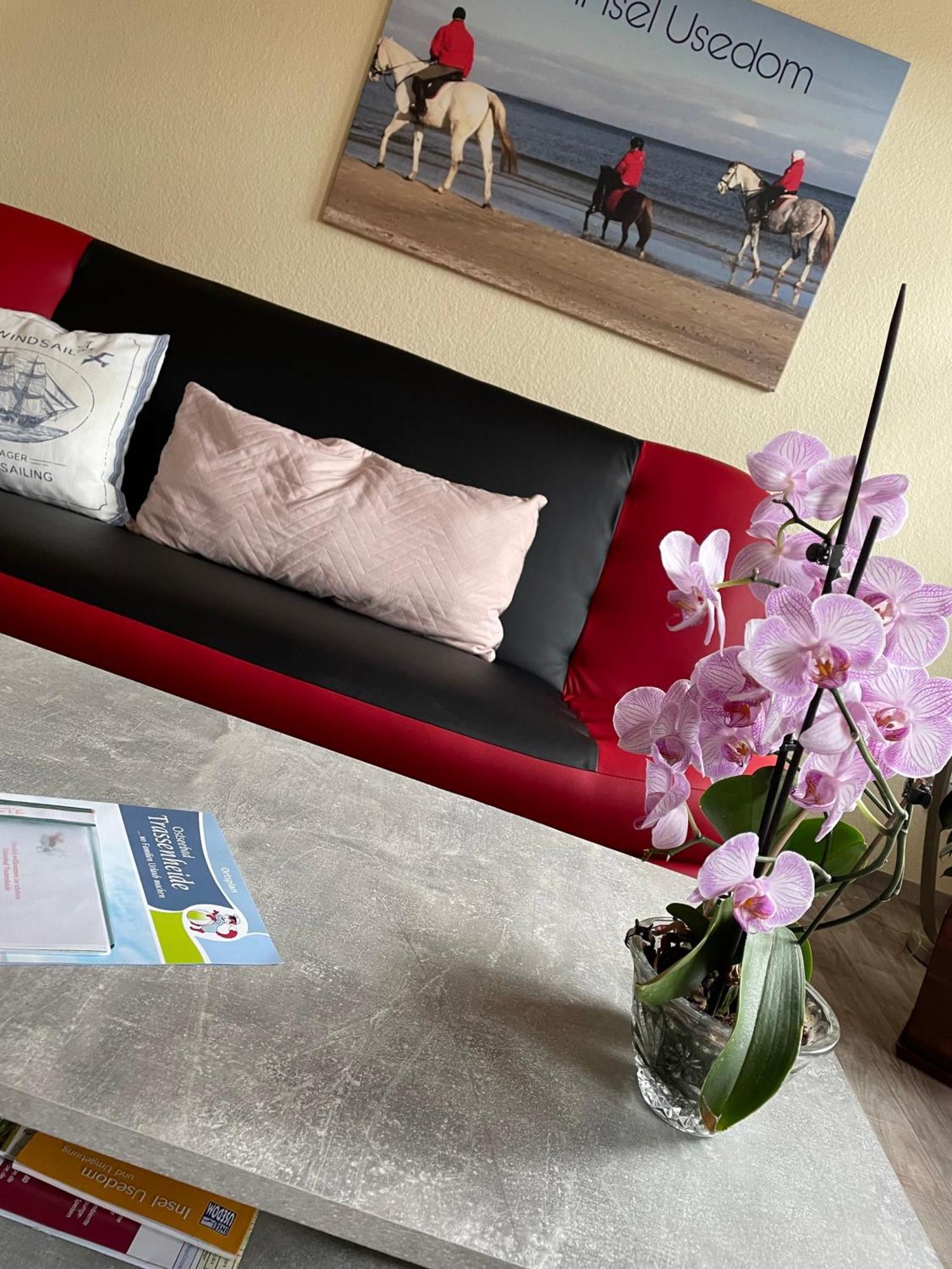 Ferienwohnung Mit Terrasse - Insel Usedom Трассенхайде Экстерьер фото